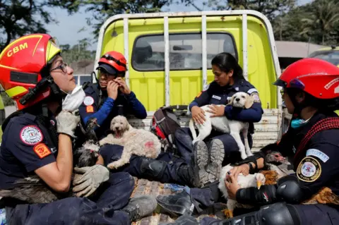 Reuters Firefighters rescue animals