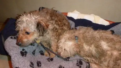 RSPCA Cashew and Almond