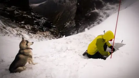 Paul Noble/SAIS Southern Cairngorms SAIS in Southern Cairngorms