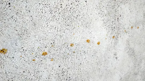 Provided by Nomura Plating Yellow cat paw prints
