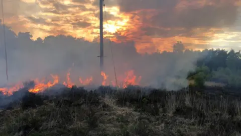 DWFRS Lions Hill fire