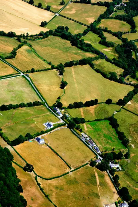 Crown Copyright Roman road near Lampeter, Ceredigion