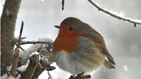 @CamlakeCanvas Lough Melvin