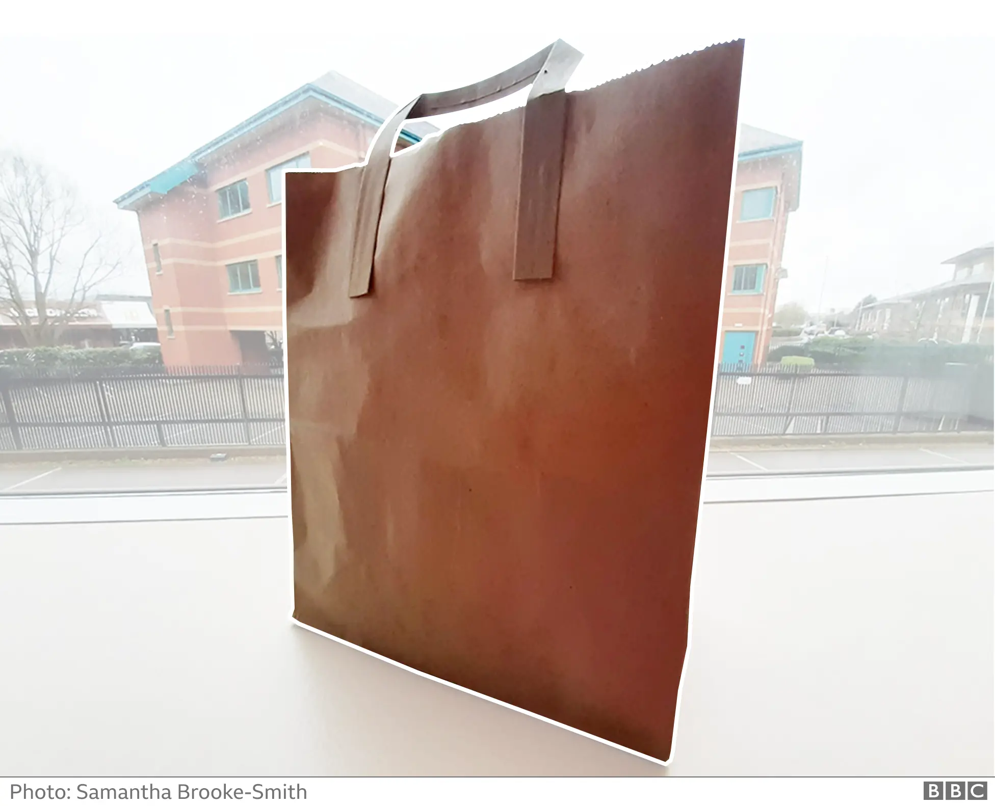 Food delivery bag