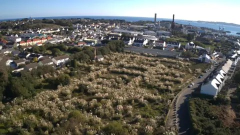 BBC Aerial shot of the Kenilworth Vinery site