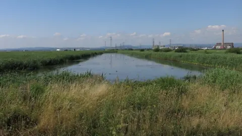 Hugh Venables/Geograph The Gwent Levels