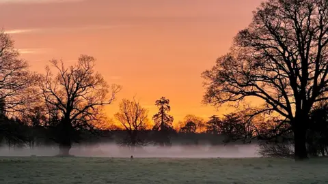 BBC Weather Watcher Shurlock Homes Waltham St Lawrence