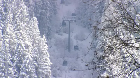 ORF Although dozens of other cable cars were on the route at the time of the accident none of them was affected by the accident