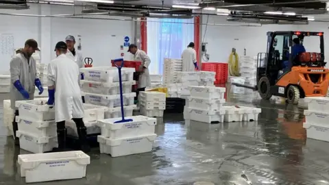 Andrew Sinclair/BBC Unloading fish at Brixham market