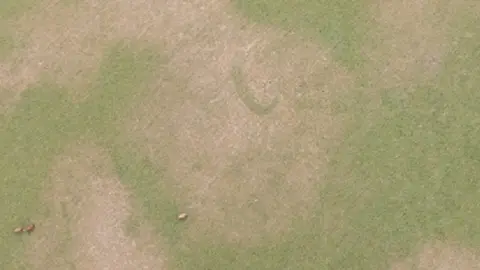 Historic Environment Scotland Banana shape in parched grass