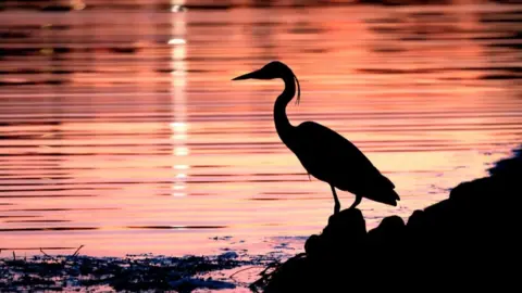 Danny Kidby-Hunter Urban winner - Danny Kidby-Hunter