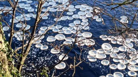 Michael Cox Ice pancakes on the river Wharfe in North Yorkshire