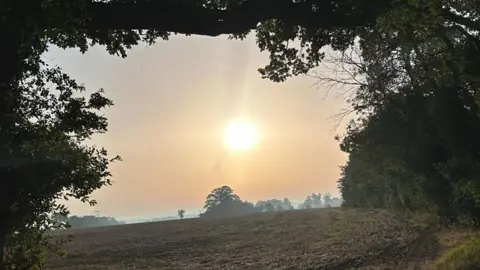 colsonhols/BBC Weather Watchers Bishop's Stortford, Hertfordshire