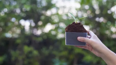 Getty Images Stock image of planting trees