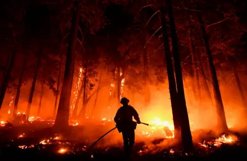 Getty Images Fire in giant sequoia forest