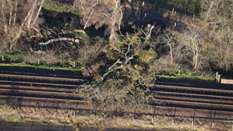 Network Rail Scotland Tree blocking line