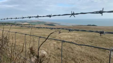 Paul Cheese Barbed wire fence