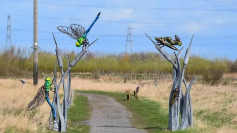 Claire Freeburn Dragonfly sculpture at Saltholme