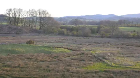 MIKE BOLAM Threave Estate