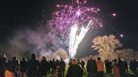 People watching fireworks