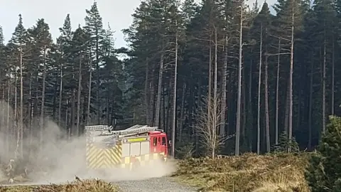 Brenda Horgan Fire engine in the Mournes