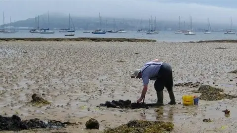 Sarah Smith Castle Cove Beach, Weymouth