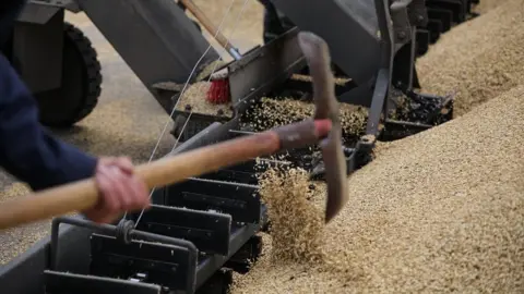 EPA Ukrainian farmers load barley grain during a barley harvest in Odesa area, Ukraine on 23 June