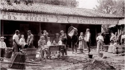 Enio Bonchev Bulgarian lavender