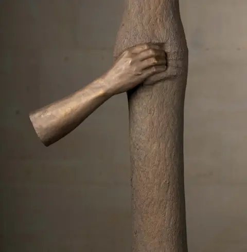 Jonty Wilde Giuseppe Penone, Trattenere Anni di Crescita (2004-16)