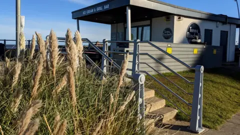 Pampas grass in South Shields