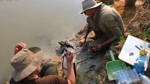 Geoff Duller Professor Larry Barham (pictured, right) uncovering prehistoric wooden tools on the banks of the river