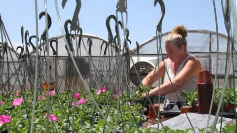 BBC Woman working in a local orchard