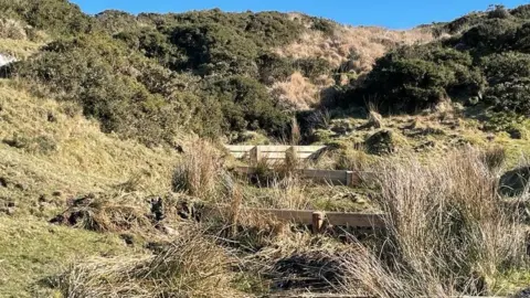 BBC Moss habitat on Dartmoor