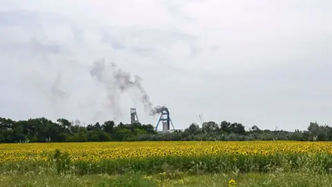 Getty Images Sunflower field in Ukraine