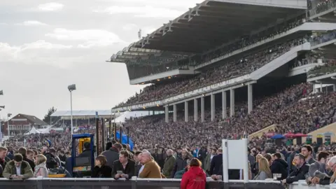 Getty Images Cheltenham Festival grandstands