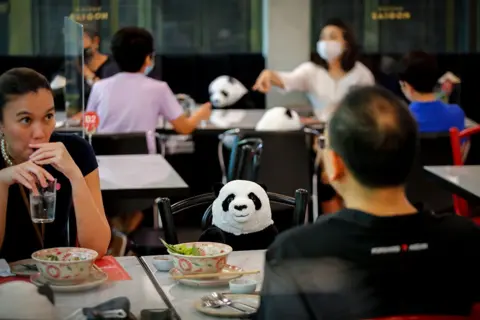 EPA A stuffed panda is seen on a chair next to diners in a restaurant