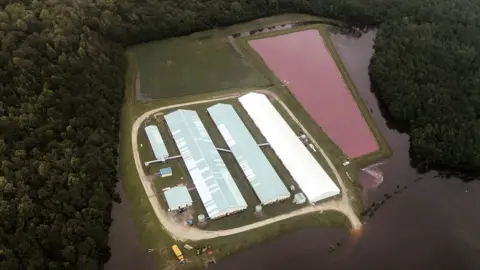 Reuters A pig waste lagoon in North Carolina after Hurricane Florence