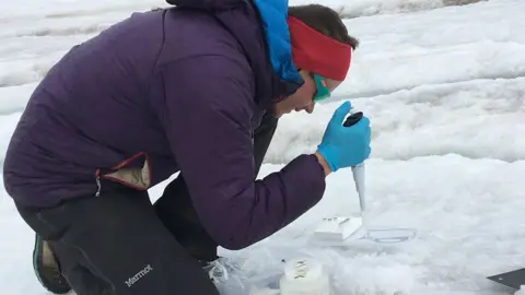 Aberystwyth University Dr Ian Stevens preparing meltwater samples for transport prior to analysis