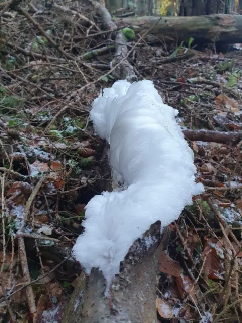 Tracey Jackson Hair frost