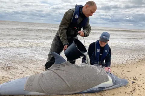 Jenny Kirk/BBC Whale rescue training exercise on Sizewell beach