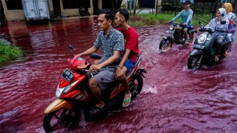Reuters People ride motorbikes through a flooded road with red water due to the dye-waste from cloth factories, in Pekalongan, Central Java province, Indonesia
