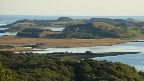 Tayvallich estate Tayvallich estate