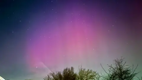 BBC Weather Watchers/Night sky capture A pink/purple patch of sky surrounded by blue above a treeline. There are lots of stars visible.