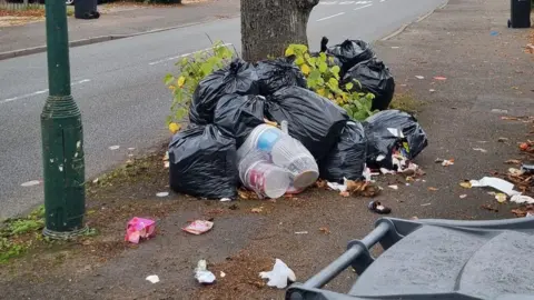 Leanne Gregory Nine black bin bags are next to a tree by a road. Some rubbish is also loose on the pavement and a wheelie bin is in the foreground.