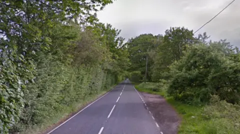 An empty country road with trees and bushes on either side