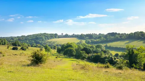 Getty Images A rural scene with rolling hills, mature trees and grassland, taken on the edge of London in the borough of Croydon. 