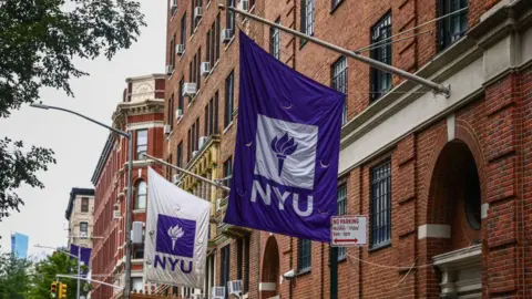 A stock style image showing signs hanging on a building saying 'NYU'
