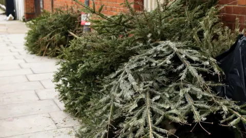 Getty Christmas trees lying on a pavement outside a home.