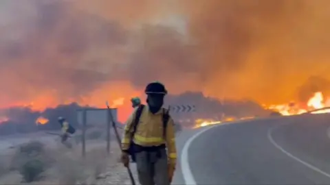 A firefighter stands in front of a large fire by a road