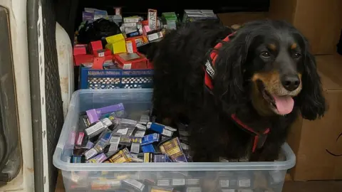 A dog sitting in a box full of illegal items including tobacco pouches, with his mouth open and his tongue out. The dog is black with brown fur around his nose and his eyes. He has a red collar.